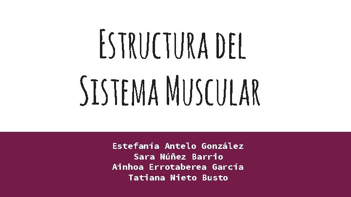 Estructura del Sistema Muscular Estefanía Antelo González Sara Núñez Barrio Ainhoa Errotaberea García Tatiana