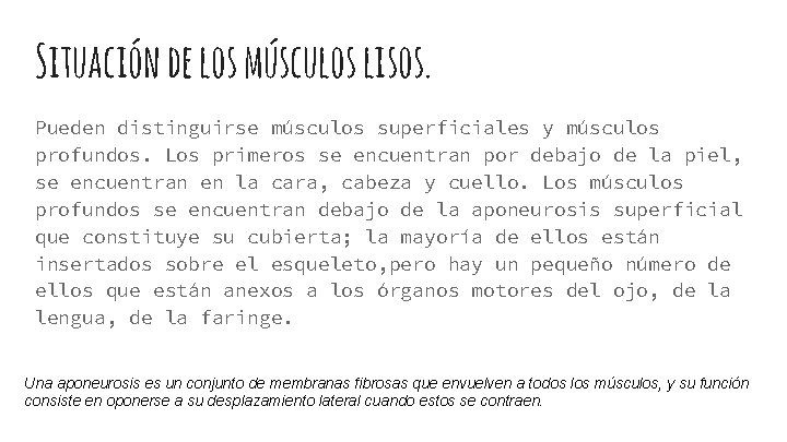 Situación de los músculos lisos. Pueden distinguirse músculos superficiales y músculos profundos. Los primeros