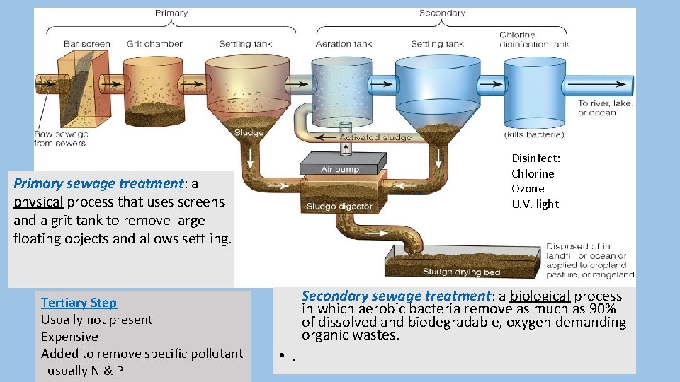 Disinfect: Chlorine Ozone U. V. light Primary sewage treatment: a physical process that uses