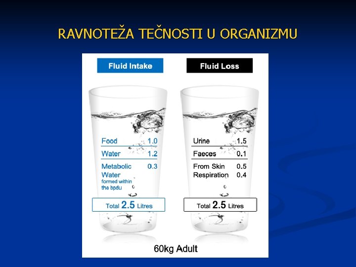 RAVNOTEŽA TEČNOSTI U ORGANIZMU 