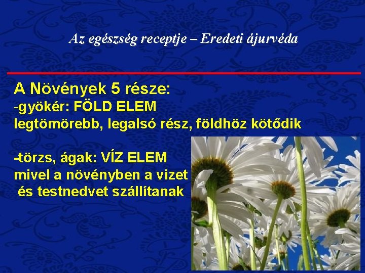 Az egészség receptje – Eredeti ájurvéda A Növények 5 része: -gyökér: FÖLD ELEM legtömörebb, Az egészség receptje – Eredeti ájurvéda A Növények 5 része: -gyökér: FÖLD ELEM legtömörebb,