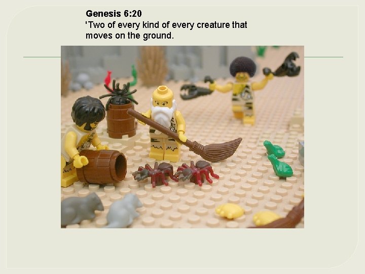 Genesis 6: 20 'Two of every kind of every creature that moves on the