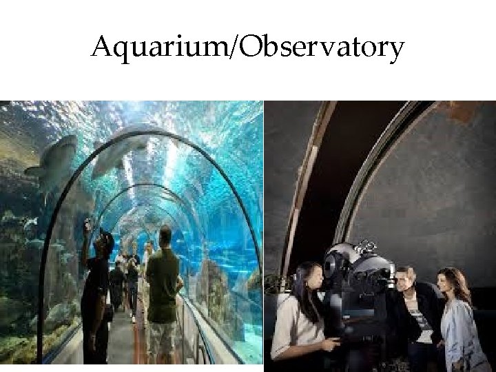 Aquarium/Observatory 