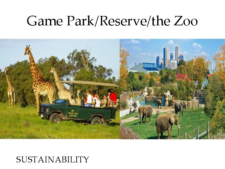 Game Park/Reserve/the Zoo SUSTAINABILITY 