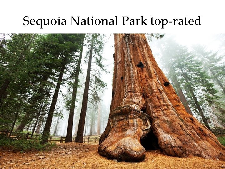 Sequoia National Park top-rated 