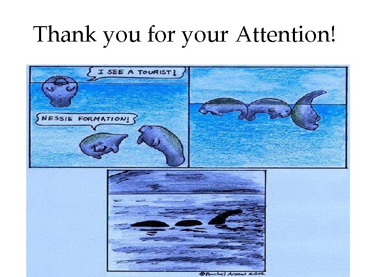 Thank you for your Attention! 
