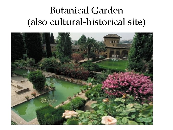 Botanical Garden (also cultural-historical site) 