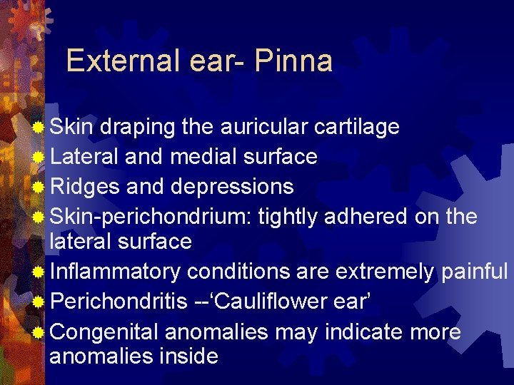 External ear- Pinna ® Skin draping the auricular cartilage ® Lateral and medial surface