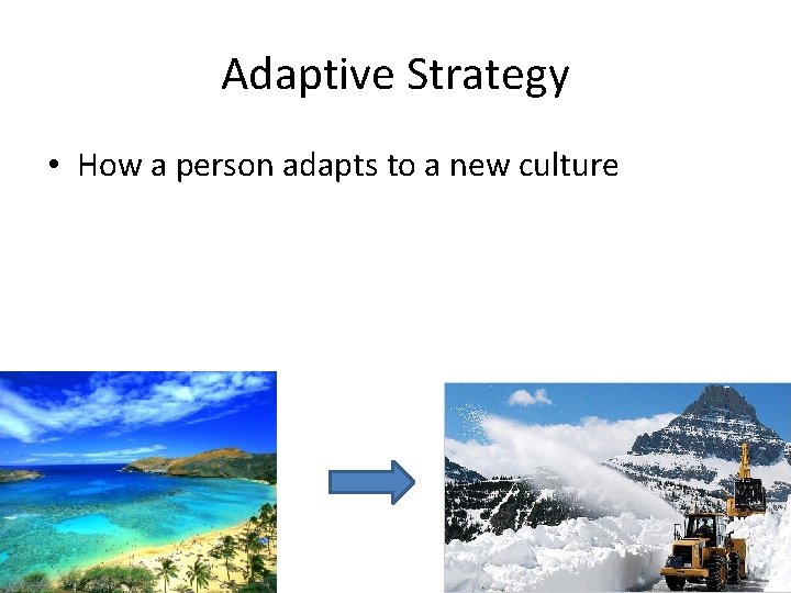 Adaptive Strategy • How a person adapts to a new culture 