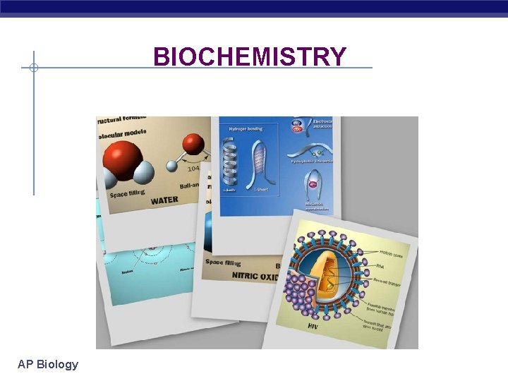BIOCHEMISTRY AP Biology 