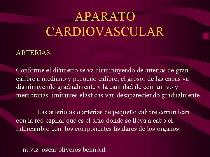 APARATO CARDIOVASCULAR ARTERIAS: Conforme el diámetro se va disminuyendo de arterias de gran calibre