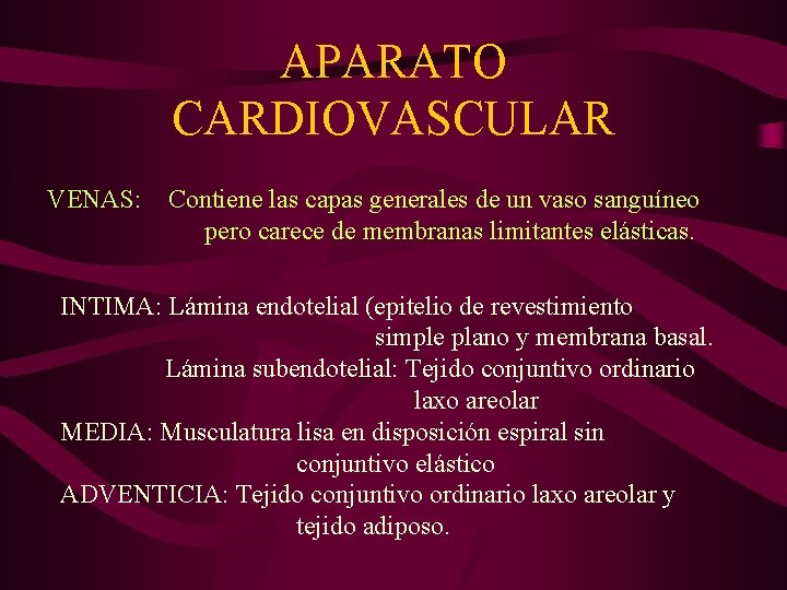 APARATO CARDIOVASCULAR VENAS: Contiene las capas generales de un vaso sanguíneo pero carece de
