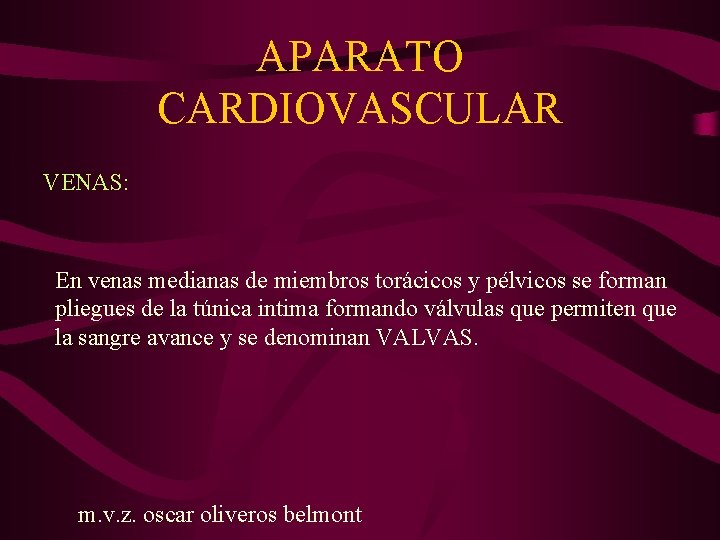 APARATO CARDIOVASCULAR VENAS: En venas medianas de miembros torácicos y pélvicos se forman pliegues