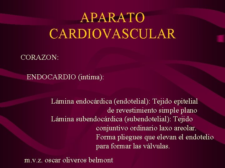 APARATO CARDIOVASCULAR CORAZON: ENDOCARDIO (intima): Lámina endocárdica (endotelial): Tejido epitelial de revestimiento simple plano