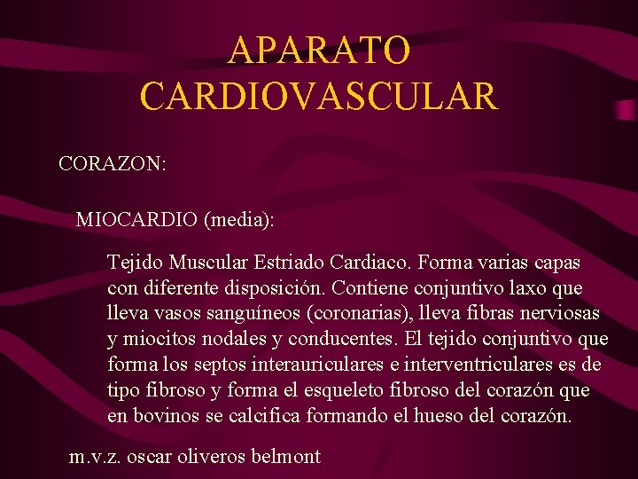 APARATO CARDIOVASCULAR CORAZON: MIOCARDIO (media): Tejido Muscular Estriado Cardiaco. Forma varias capas con diferente