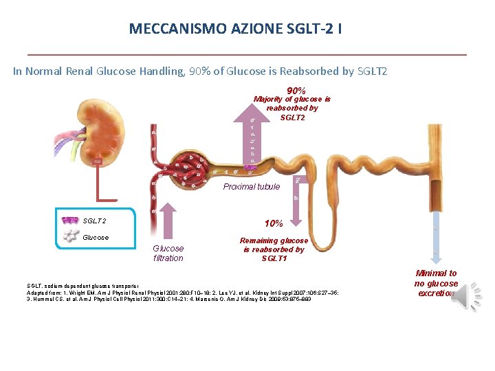MECCANISMO AZIONE SGLT-2 I In Normal Renal Glucose Handling, 90% of Glucose is Reabsorbed