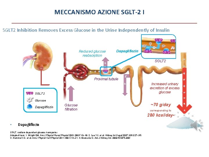 MECCANISMO AZIONE SGLT-2 I SGLT 2 Inhibition Removes Excess Glucose in the Urine Independently