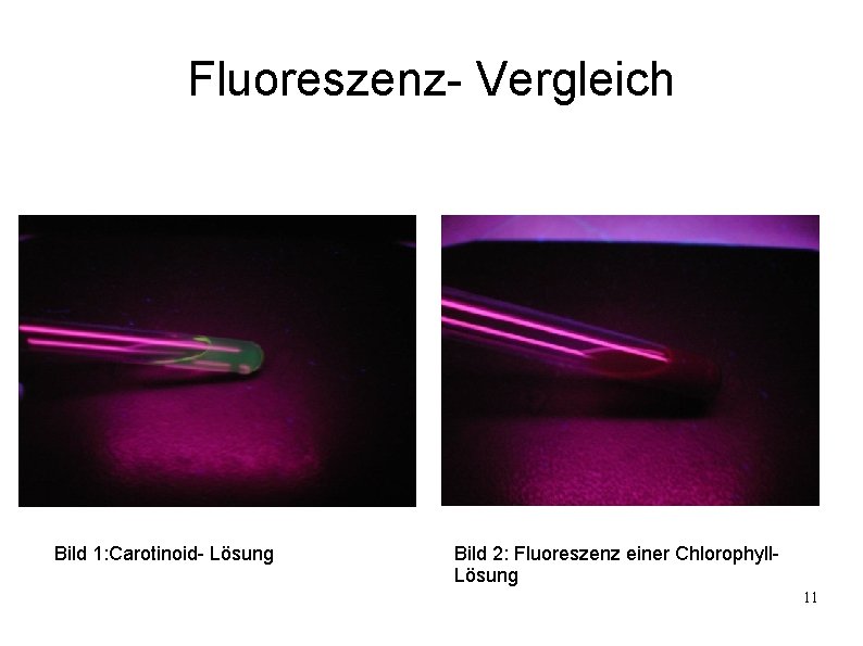 Fluoreszenz- Vergleich Bild 1: Carotinoid- Lösung Bild 2: Fluoreszenz einer Chlorophyll. Lösung 11 