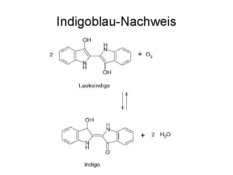 Indigoblau-Nachweis 