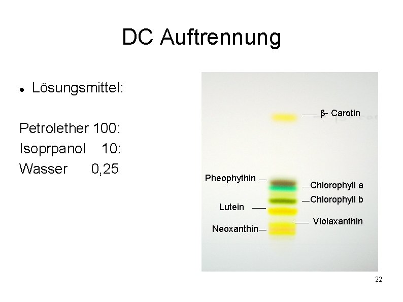 DC Auftrennung Lösungsmittel: β- Carotin Petrolether 100: Isoprpanol 10: Wasser 0, 25 Pheophythin Lutein