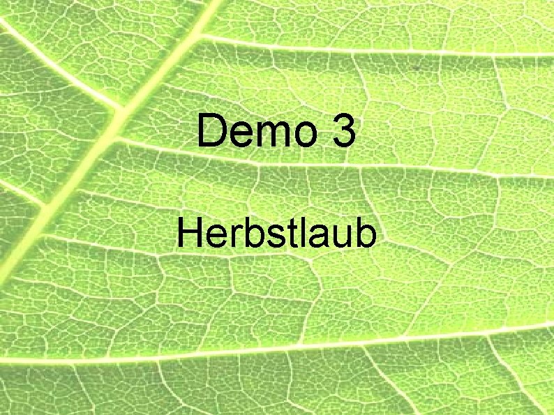 Demo 3 Herbstlaub 