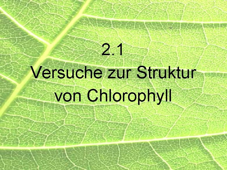 2. 1 Versuche zur Struktur von Chlorophyll 