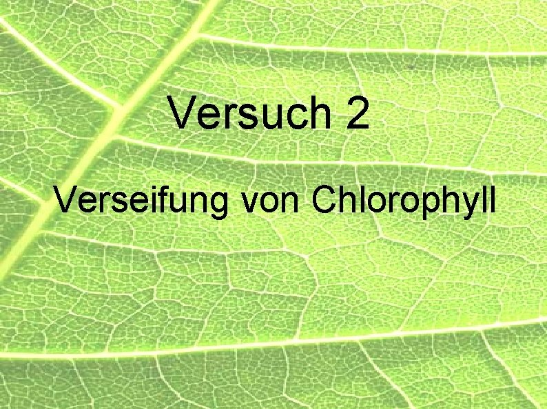 Versuch 2 Verseifung von Chlorophyll 