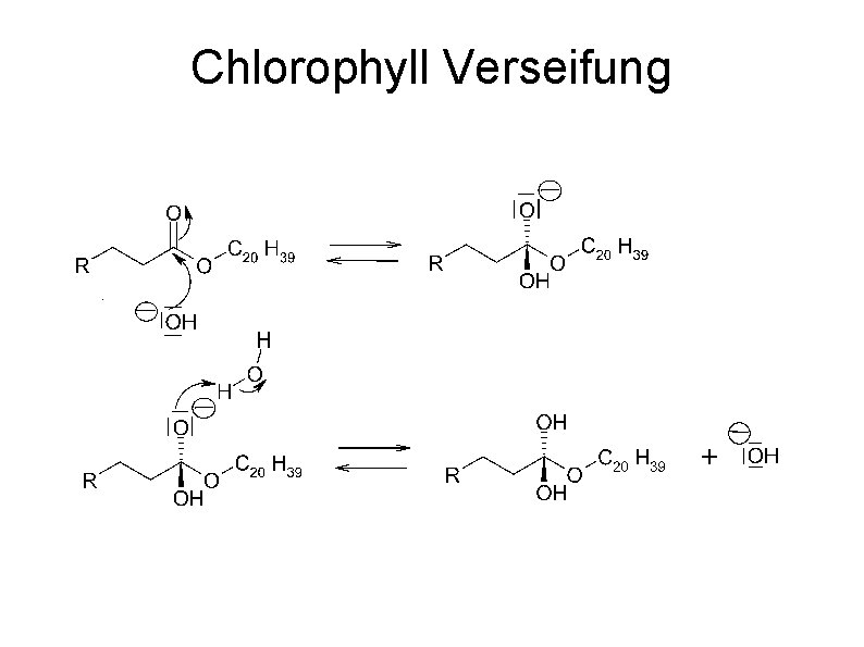 Chlorophyll Verseifung 