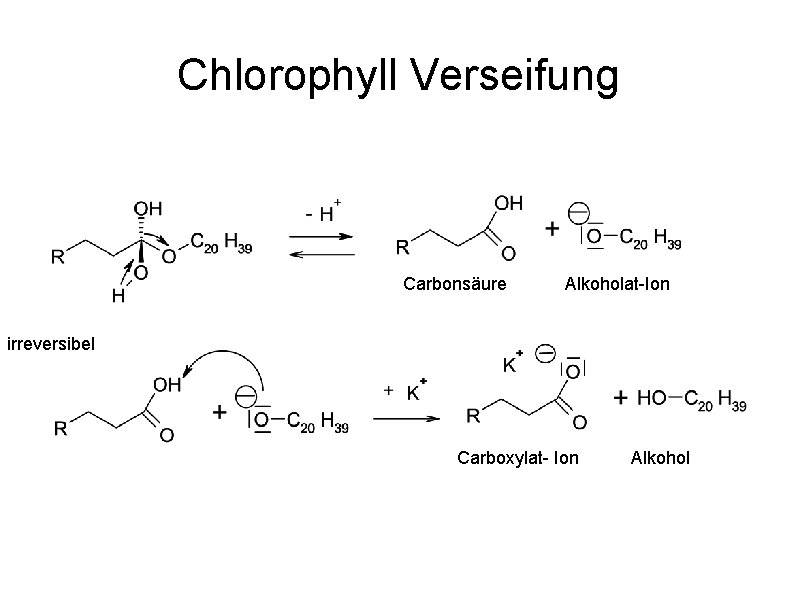 Chlorophyll Verseifung Carbonsäure Alkoholat-Ion irreversibel Carboxylat- Ion Alkohol 