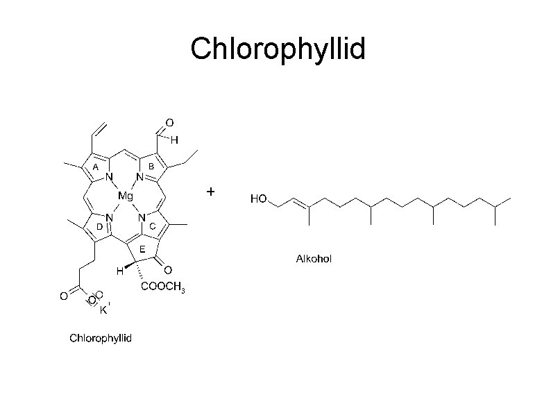 Chlorophyllid 