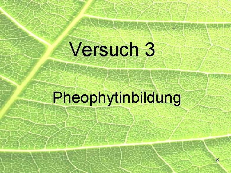 Versuch 3 Pheophytinbildung 35 