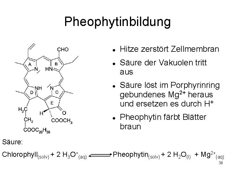 Pheophytinbildung Hitze zerstört Zellmembran Säure der Vakuolen tritt aus Säure löst im Porphyrinring gebundenes