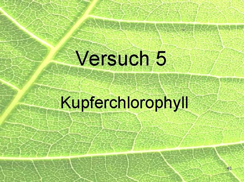 Versuch 5 Kupferchlorophyll 40 