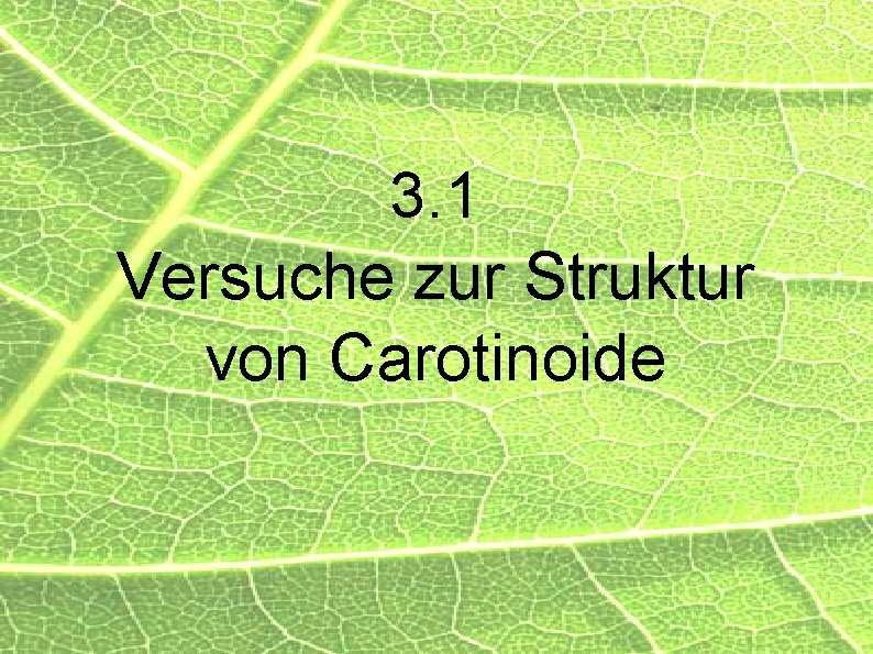 3. 1 Versuche zur Struktur von Carotinoide 