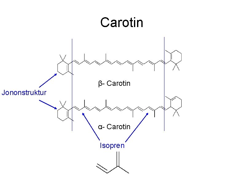 Carotin β- Carotin Jononstruktur α- Carotin Isopren 