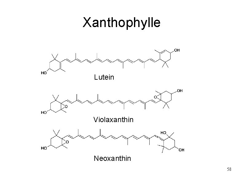 Xanthophylle Lutein Violaxanthin Neoxanthin 58 