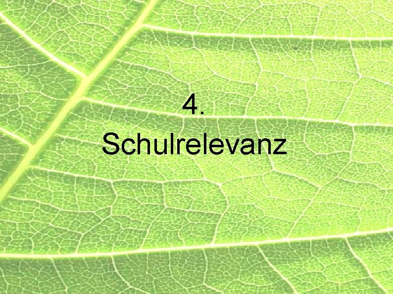 4. Schulrelevanz 