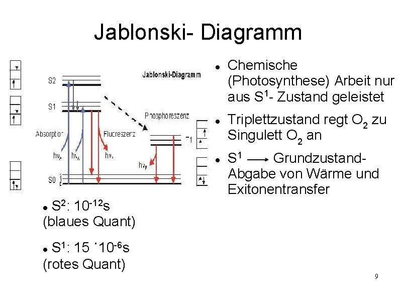 Jablonski- Diagramm Chemische (Photosynthese) Arbeit nur aus S 1 - Zustand geleistet Triplettzustand regt