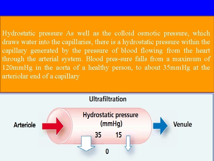 Hydrostatic pressure As well as the colloid osmotic pressure, which draws water into the