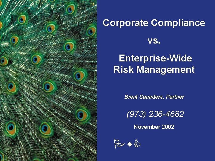 Corporate Compliance vs. Enterprise-Wide Risk Management Brent Saunders, Partner (973) 236 -4682 November 2002