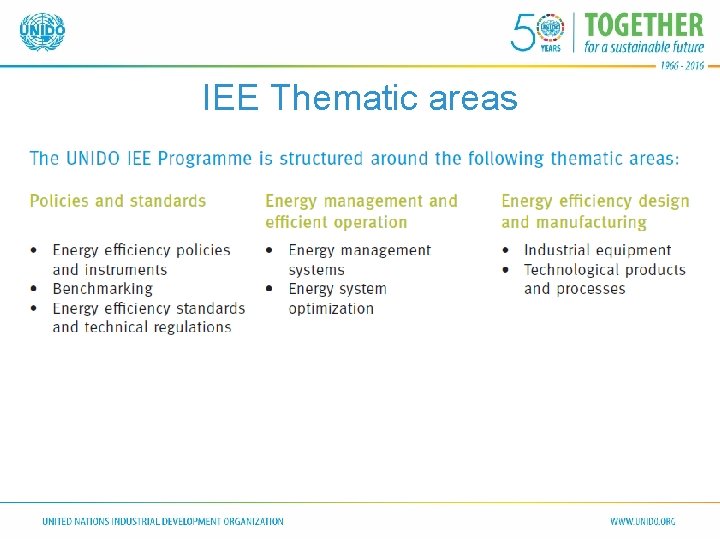 IEE Thematic areas 3 IEE Thematic areas 3