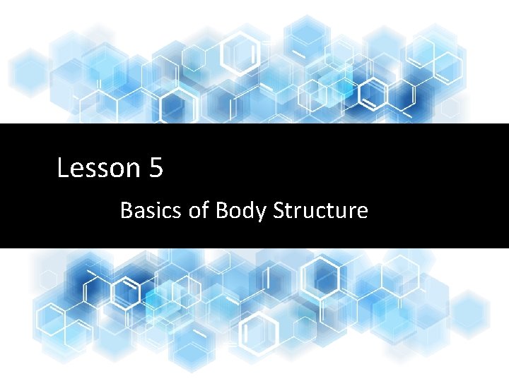 Lesson 5 Basics of Body Structure 
