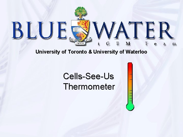 University of Toronto & University of Waterloo Cells-See-Us Thermometer 