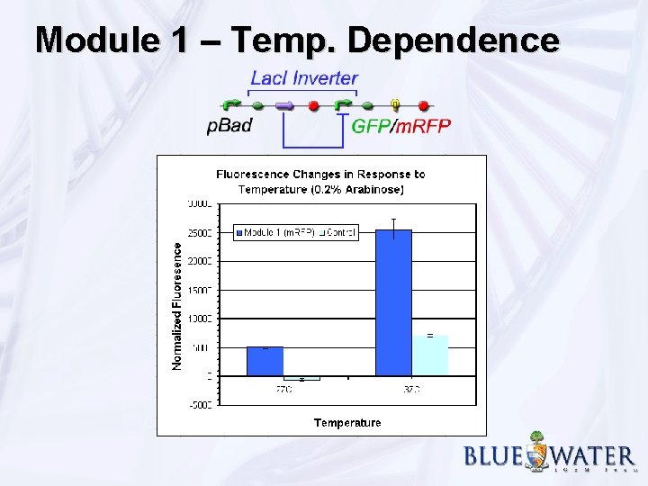 Module 1 – Temp. Dependence 