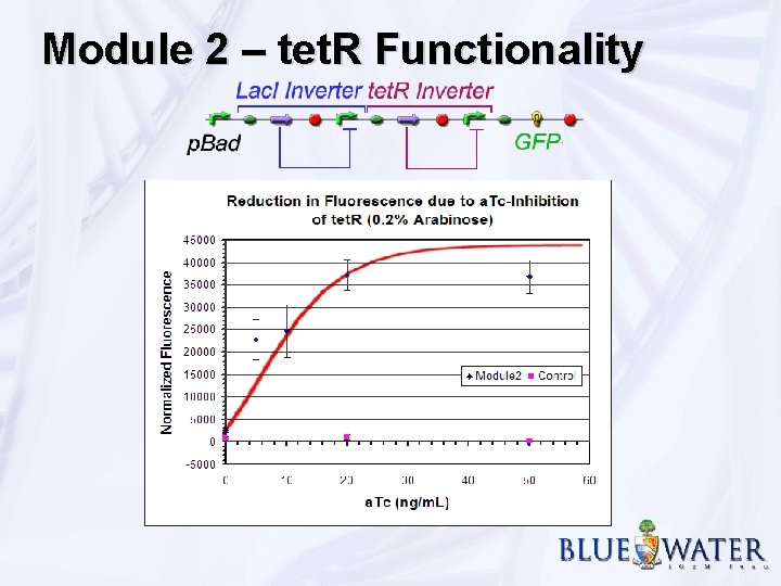 Module 2 – tet. R Functionality 