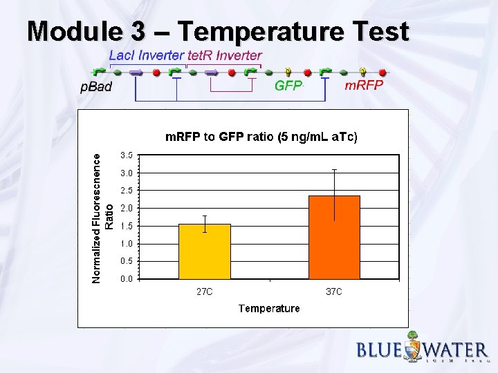 Module 3 – Temperature Test 