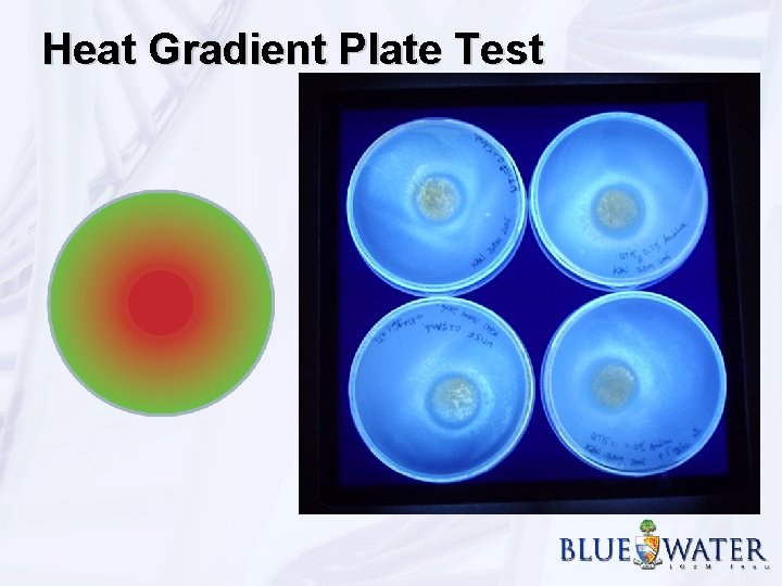 Heat Gradient Plate Test 