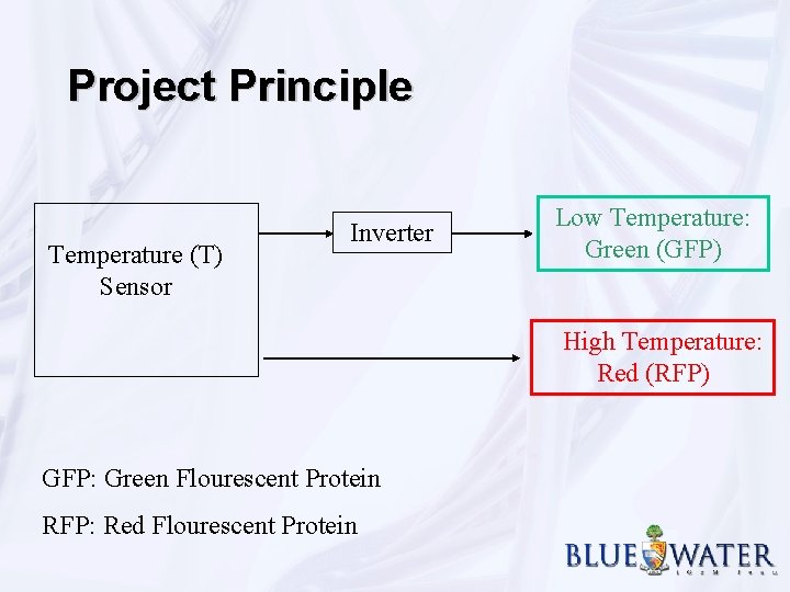 Project Principle Temperature (T) Sensor Inverter Low Temperature: Green (GFP) High Temperature: Red (RFP)