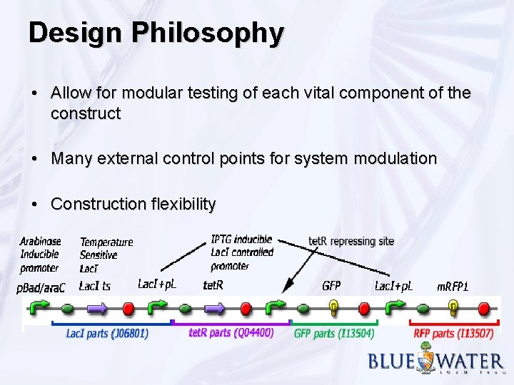 Design Philosophy • Allow for modular testing of each vital component of the construct