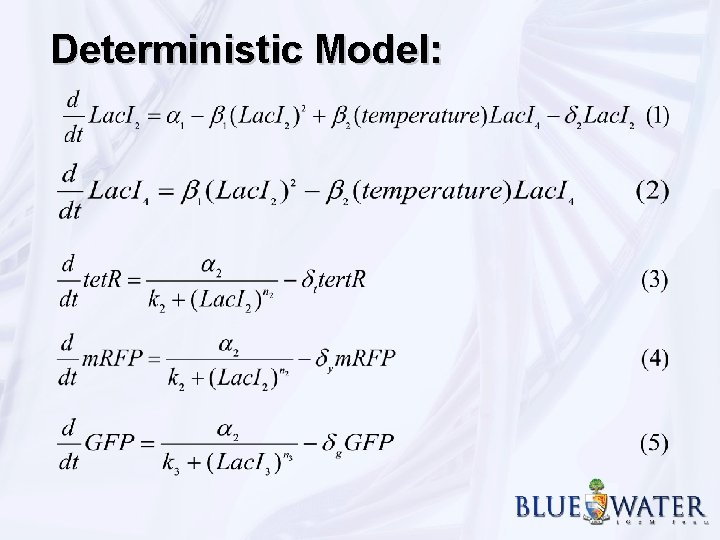 Deterministic Model: 